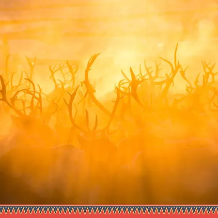 Valle Lapland Πάρκο διακοπών Utsjoki