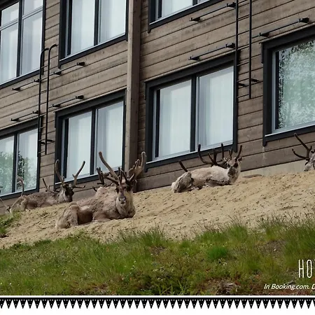 Valle Lapland 3*