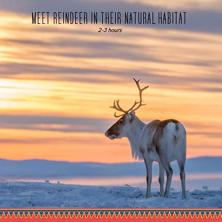 Valle Lapland Village de vacances 4*