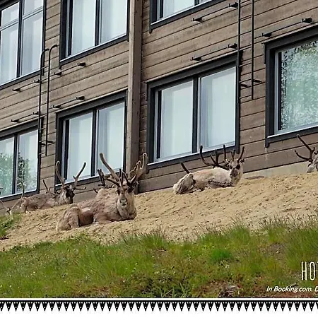 Valle Lapland Parco vacanze