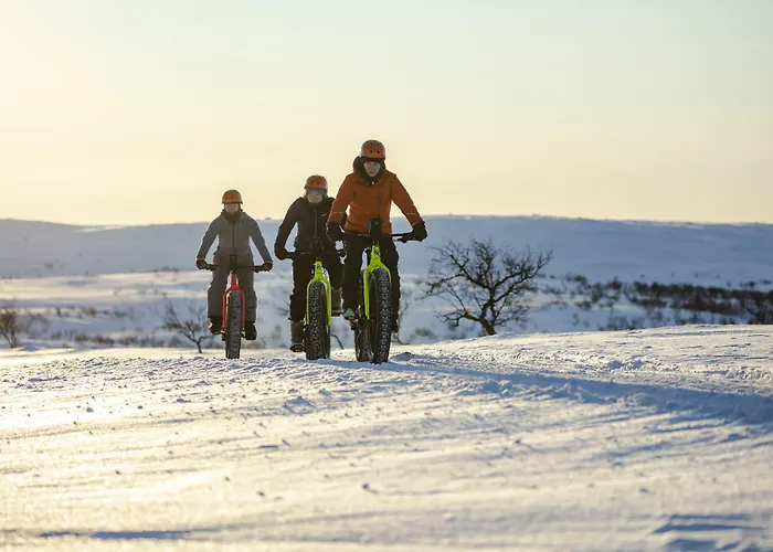 Valle Lapland ホリデーパーク 4*