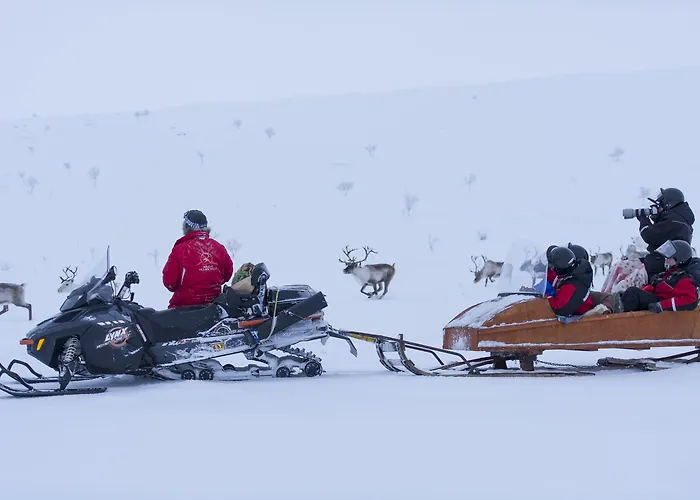 Valle Lapland ウツヨキ